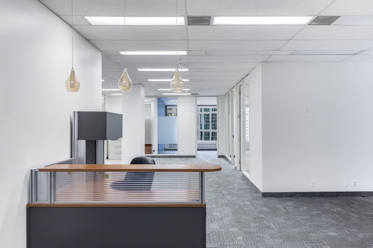 _1_FADI9793 Large.jpeg