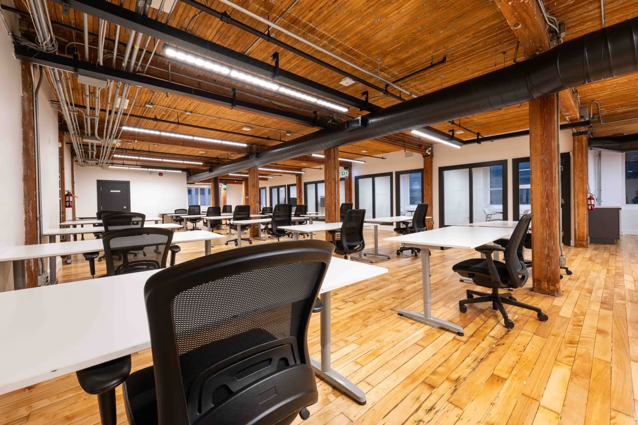 _DSC8007_1mb Large.jpeg